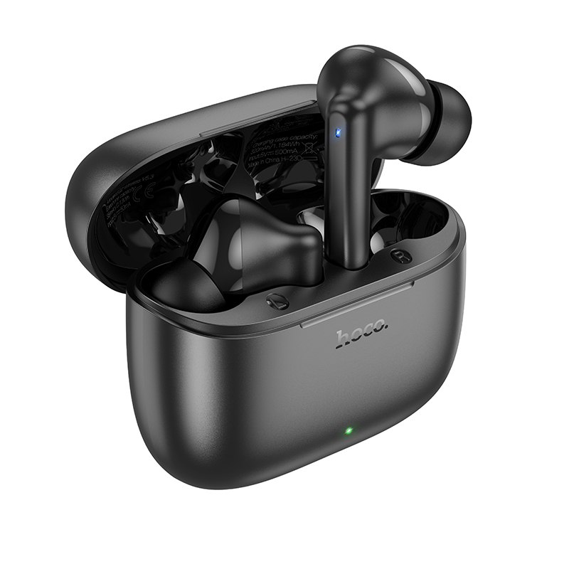 Hoco EQ2 True Wireless Bluetooth Earbud